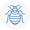 Bed Bug Extermination In Exminster