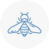 Bee Nest Removal Exminster