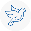 Bird Prevention Exminster
