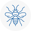 Exminster Hornet Nest Removals