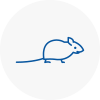 Mice Exterminators In Exminster