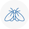 Moth Control Specialists In Exminster