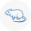 Rat Control Exminster