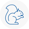 Exminster Rodent Removals