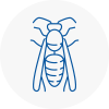 Exminster Wasp Nest Removal